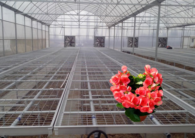 1472627587641677.jpg 客戶(hù)眼中大圖1.jpg