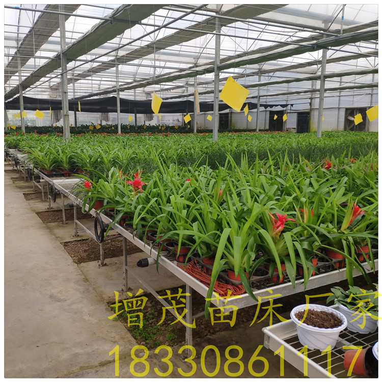 1559028929673427.jpg IMG_20190508_171427.jpg