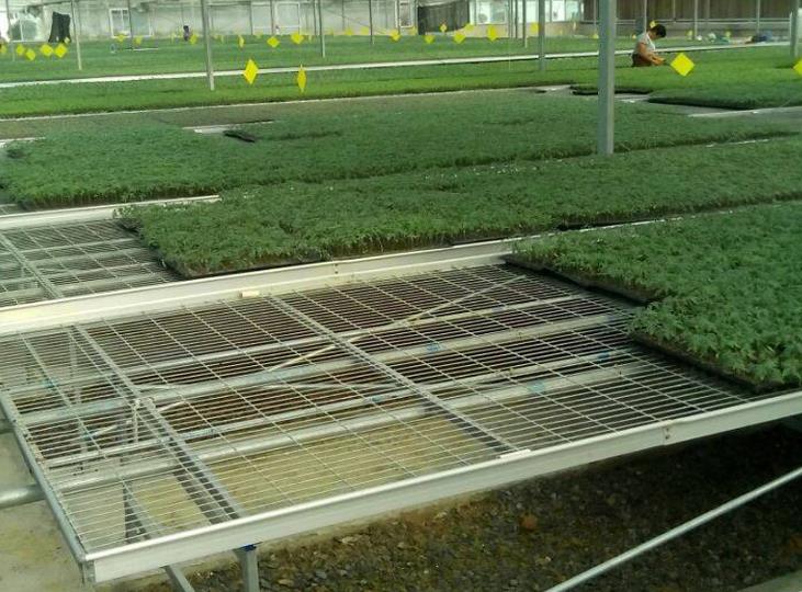 <a href='http://services-voyage.com/miaochuangsheshi/199.html'target='_blank'>育苗床</a>.jpg