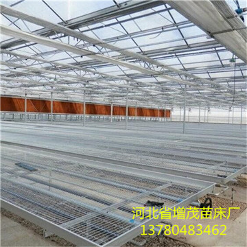 <a href='/' target='_blank'>溫室苗床</a> <a href='/' target='_blank'>溫室苗床</a>