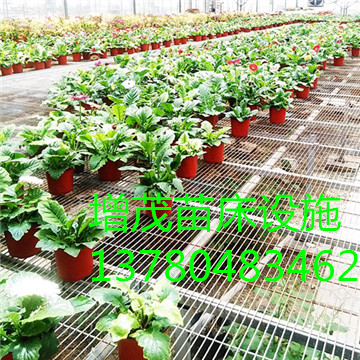 <a href='/' target='_blank'>溫室苗床</a> <a href='/' target='_blank'>溫室苗床</a>